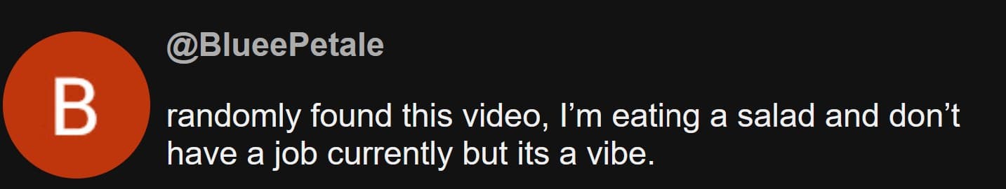 not the target audience, but vibing nonetheless screencap of a youtube comment that reads, 'randomly found this video, I’m eating a salad and don’t have a job currently but its a vibe.'